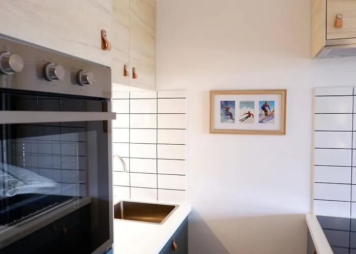 Oberharz Quartier App 435 Daire Hohegeiß